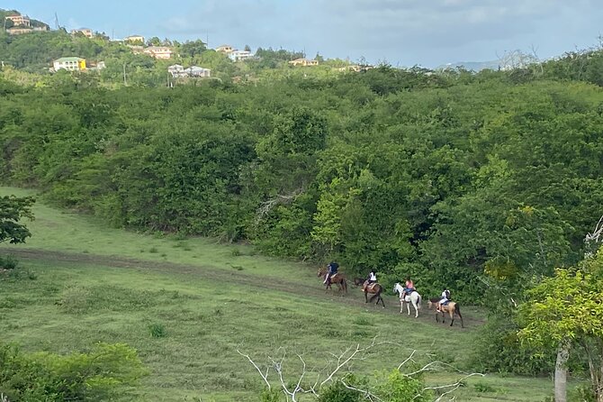 Horseback Riding Experience - Highlights of the Tour