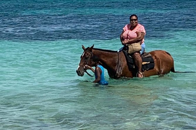 Horseback Riding From Montego Bay - Highlights of the Tour