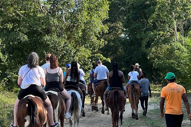 Horseback “Special”- Negril'S Beach Ride N' Swim With Free Photos/Videos - Discovering Local Flora and Fauna