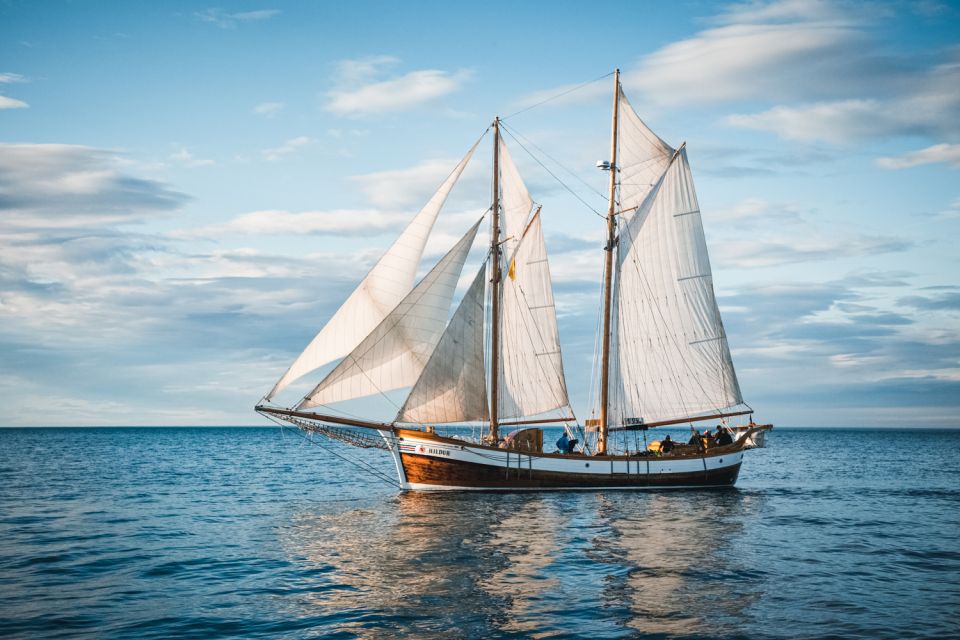 Húsavik: Whale Watching by Traditional Wooden Sailing Ship - Highlights of the Tour