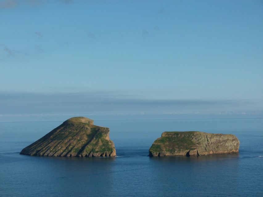 Ilhés Das Cabras in Terceira Island - Significance and Protected Status