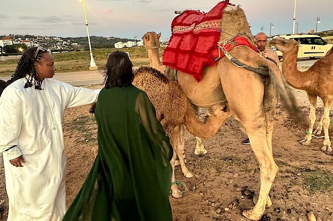 Inclusive Beach Camel Ride, Cap Spartel, Hercules & Full Dinner - Whats Included