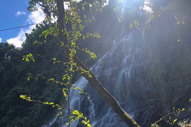 Into the Mountains-Hiking, Waterfalls & Coffee-Full Day Adventure From San Juan - Active Hiking Adventure