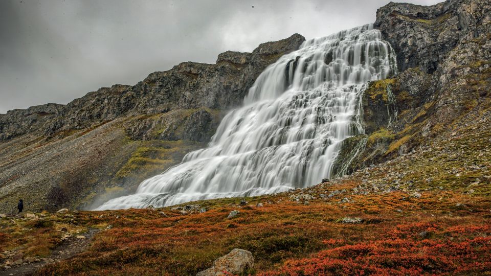 Isafjordur: Dynjandi Waterfall Tour and Icelandic Farm Visit - Highlights of the Tour