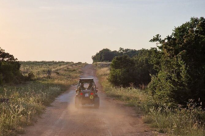 Istra Buggy Tours - Fazana - Meeting and Pickup Location