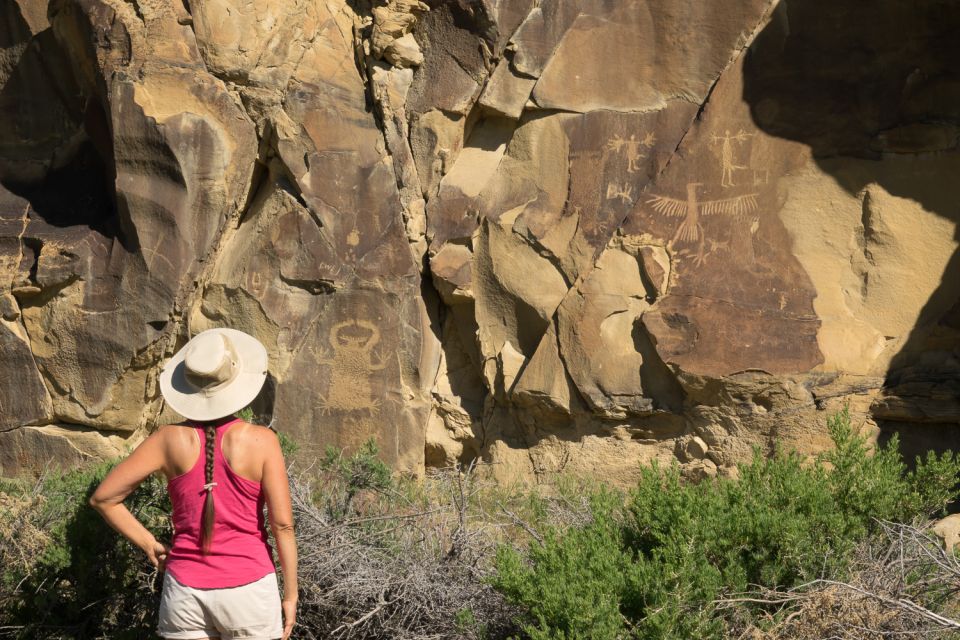 Jackson: Grand Teton, Bighorn Sheep, and Petroglyphs Tour - Highlights of the Tour