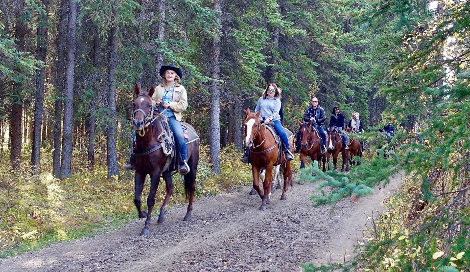 Jackson Hole: Bridger-Teton National Forest Horseback Ride - Tour Duration and Group Size