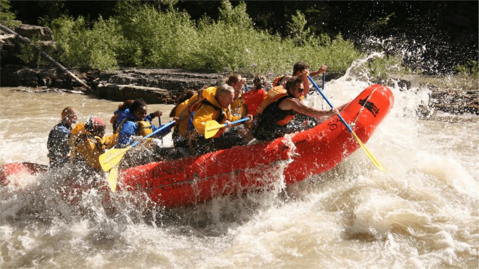 Jackson Hole: Snake River Whitewater Rafting Tour - Booking Information