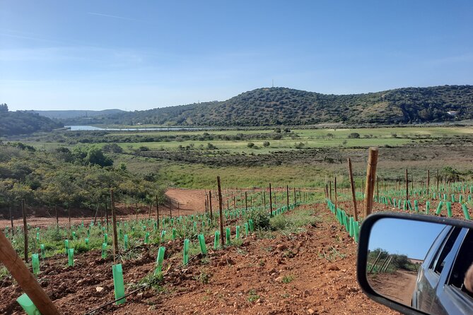 Jeep Half Day Tour of Our Algarve Coast and Mountains - Inclusions and Exclusions