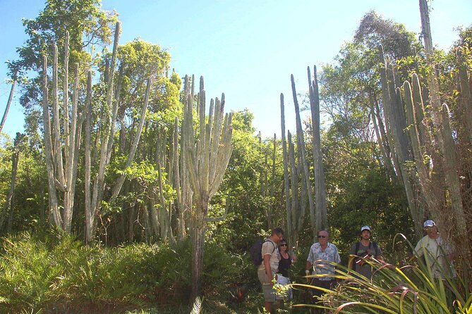 Jungle Eco Tour in Bayahibe - Included Experiences