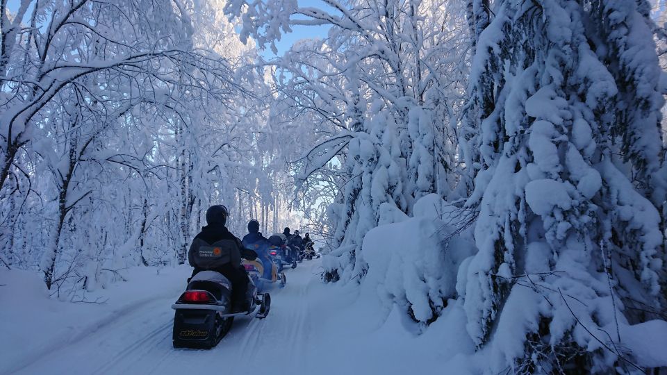 Jyväskylä/Laukaa: 2-Hour Snowmobile Safari - Highlights of the Safari