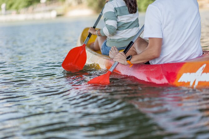 Kayak Guided Tours - Tour Duration and Schedule