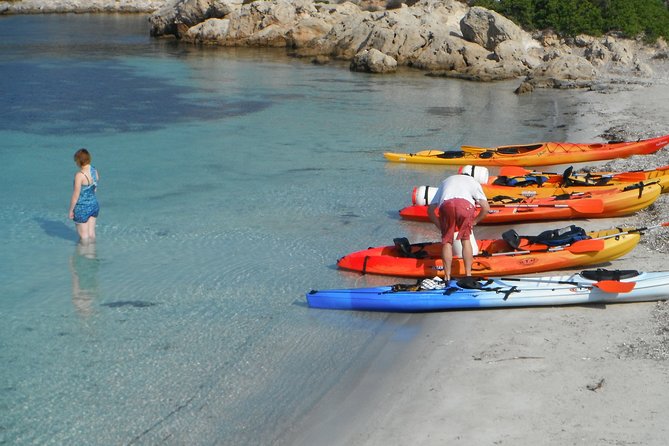 Kayak Tour in the Marine Reserve ! - Opportunities for Snorkeling and Sightseeing