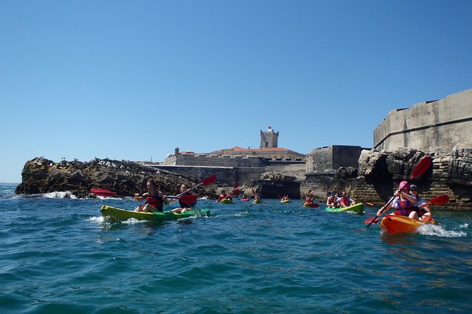 Kayak Tour of Lisbon - Whats Included in the Tour