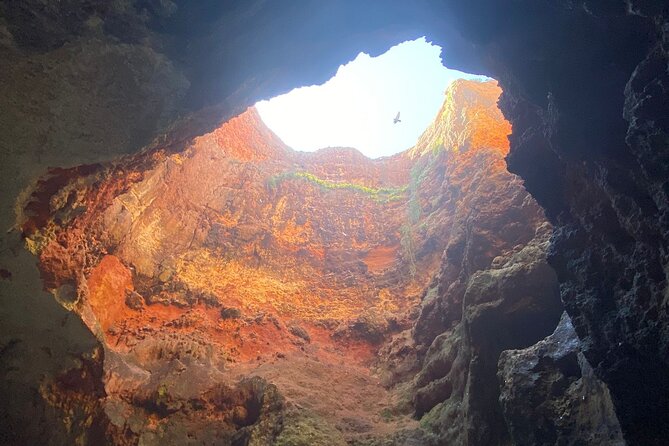 Kayak Tours With Amazing Caves, Sea Life and Marine Biologist . - Meeting Point and Transportation