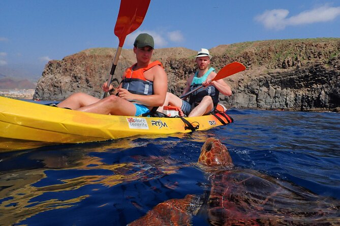 Kayaking With Dolphins and Turtles and Snorkelling in Tenerife - Activities Included