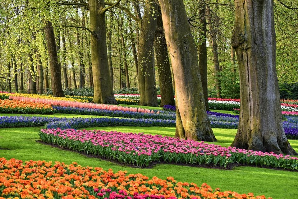 Keukenhof Gardens and Tulip Experience Tour From Amsterdam - Experience Highlights