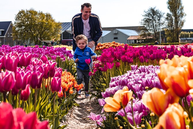 Keukenhof Gardens & Tulip Experience Guided Tour From Amsterdam - Inclusions