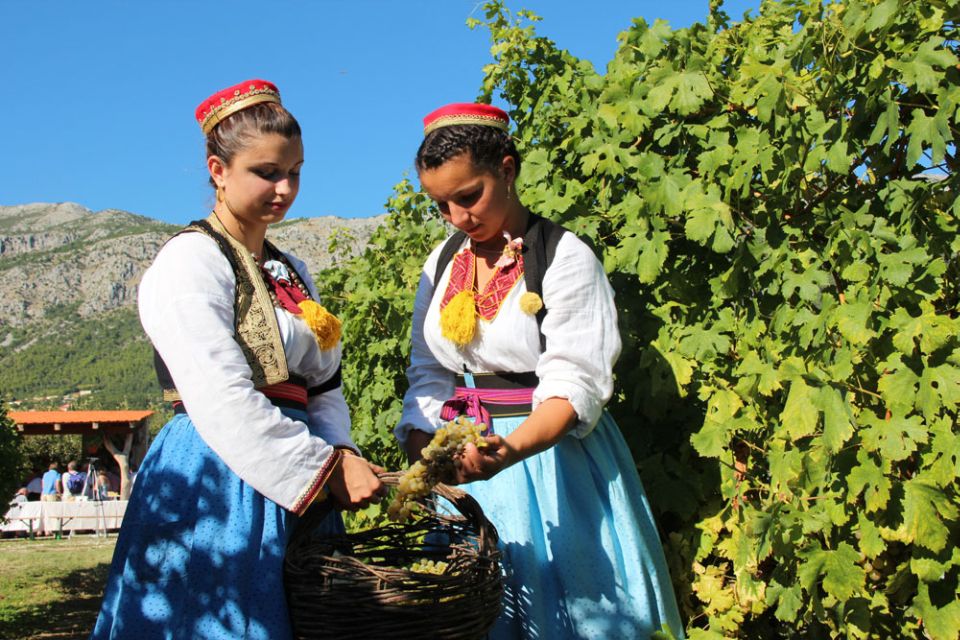 Konavle Valley: Private Half-Day Tour With Wine Tasting - Highlights of Konavle Valley