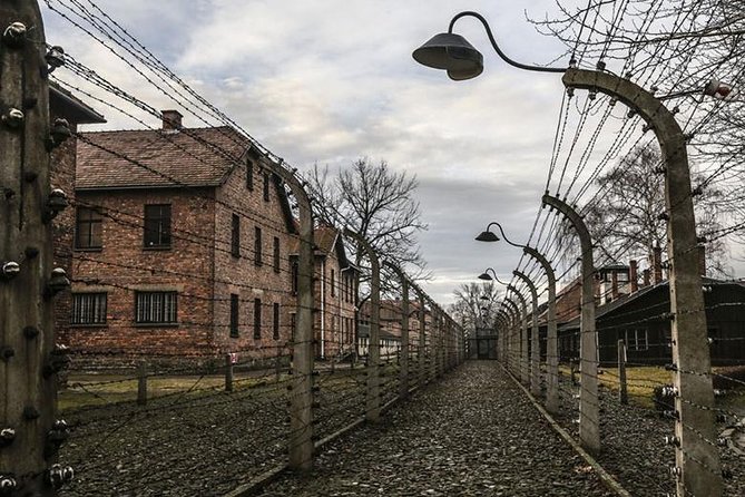 Krakow: Auschwitz-Birkenau & Salt Mine Oneday Tour (Hotel Pickup) - Inclusions