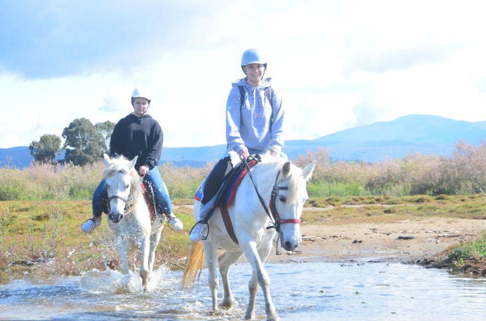 Kusadasi: Beach and Forest Horse Riding Tour - Horse Riding Experience