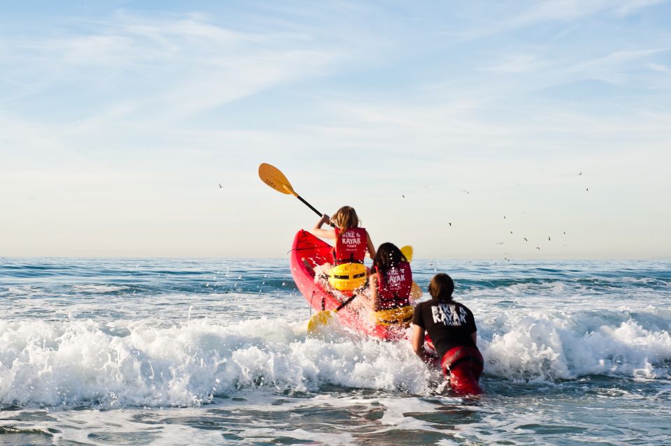 La Jolla: 2-Hour Kayak Tour of the 7 Caves - Tour Experience