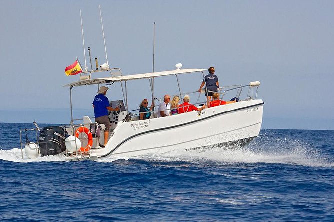 Lanzarote Sea Safari From Puerto Calero - Included in the Experience