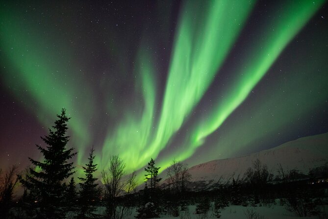 Lapland Northern Lights Tour From Tromso - Meeting and Pickup Information