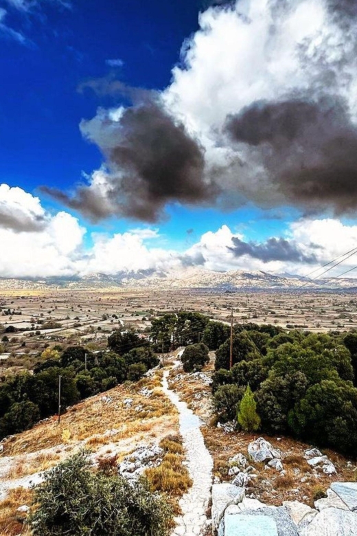 Lassithi Plateau - A Tour in The Land of Windmills - Highlights and Activities