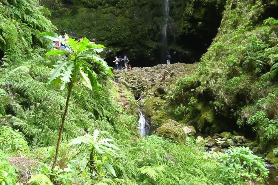 Levada Walk and Caldeirao Verde Waterfalls: Madeira - Duration and Availability