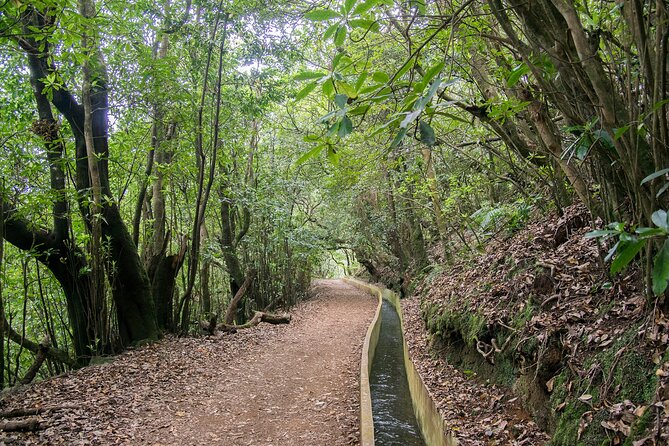 Levada Walk From Ribeiro Frio to Portela - Highlights of the Levada Walk