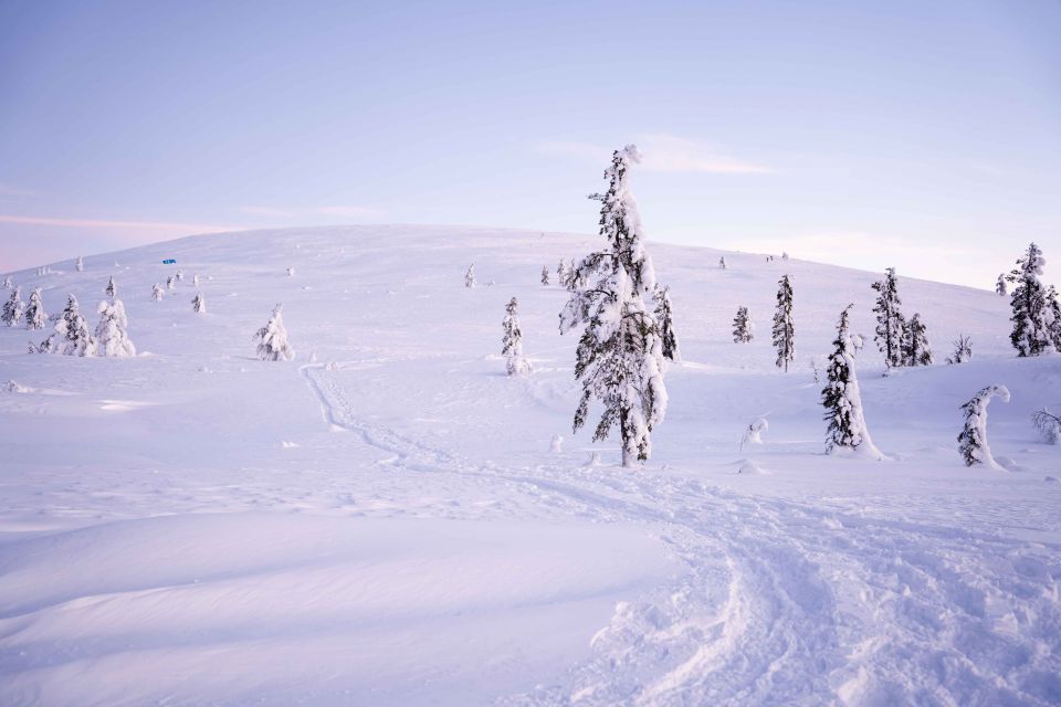 Levi: Backcountry Skiing Adventure - Inclusions