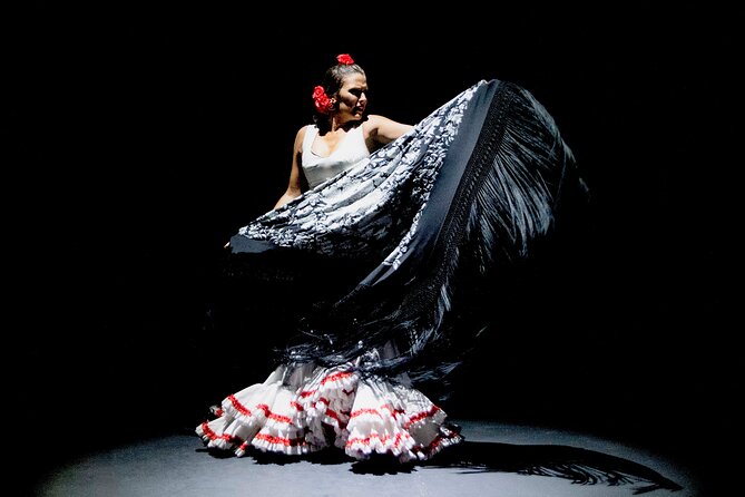 Live Flamenco Show in Seville - Venue Details and Accessibility