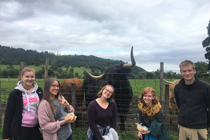 Loch Lomond National Park Tour With 2 Walks Starting Balloch - Tour Requirements and Restrictions