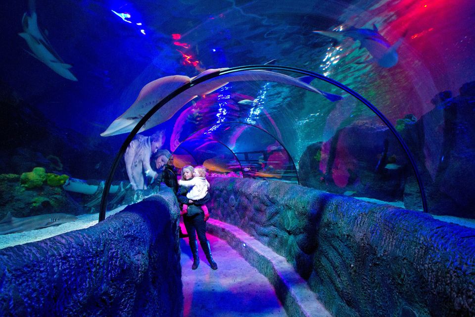 Loch Lomond: Sea Life Entrance Ticket - Attraction Overview