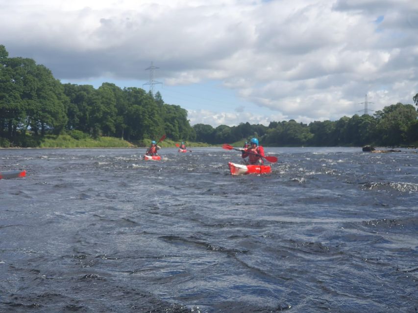 Luncarty to Willowgate Kayak Tour - Tour Highlights