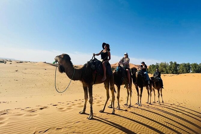 Luxury 3 Days 2 Nights Desert Tour From Fez to Marrakesh - Luxury Desert Camp