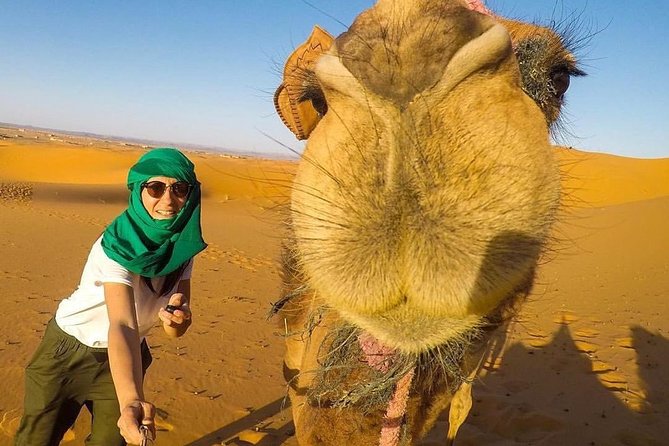 LUXURY Camp 3 Days Desert Trip Marrakech to Merzouga & Camel Trek - Pickup and Start Time