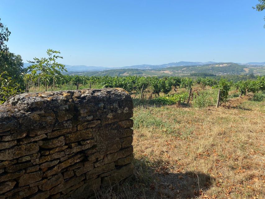 Lyon & Beaujolais: Walking Tasty Tour With a Local (Train) - Meeting Point and Itinerary