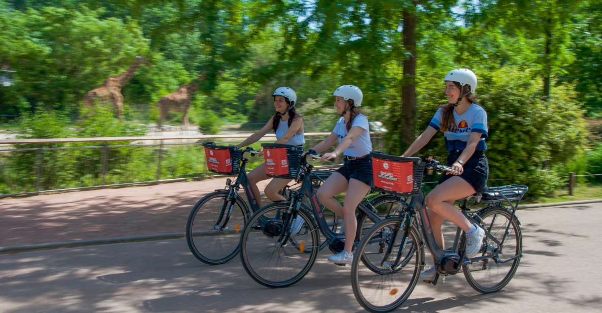 Lyon: the Great Bike Tour From North to South - Admiring the Peninsula