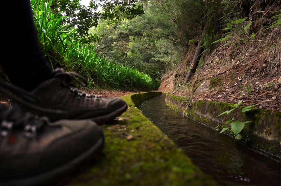 Madeira Island: Green Cauldron Levada Walk - Experience Highlights