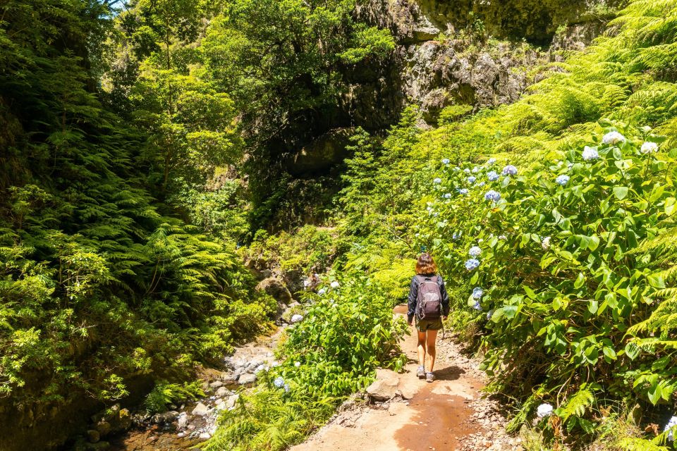 Madeira: Jungle Fever Levada Caldeirao Verde Hike Santana - Itinerary and Highlights