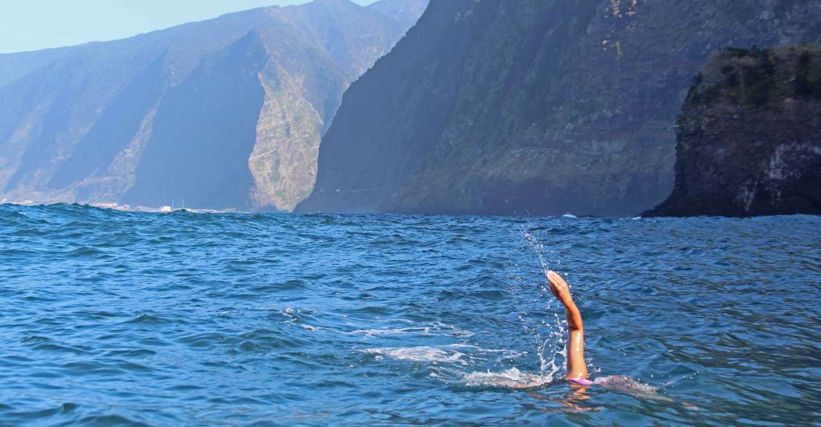 Madeira: Open Water Swimming - Itinerary and Experience