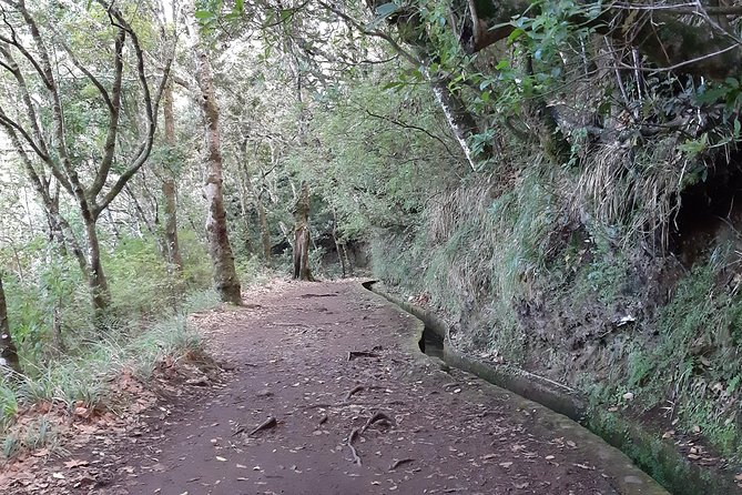 Madeira: Private 1.5-Kilometer Levada Dos Balcões Hike PR11 - Highlights of the Hike