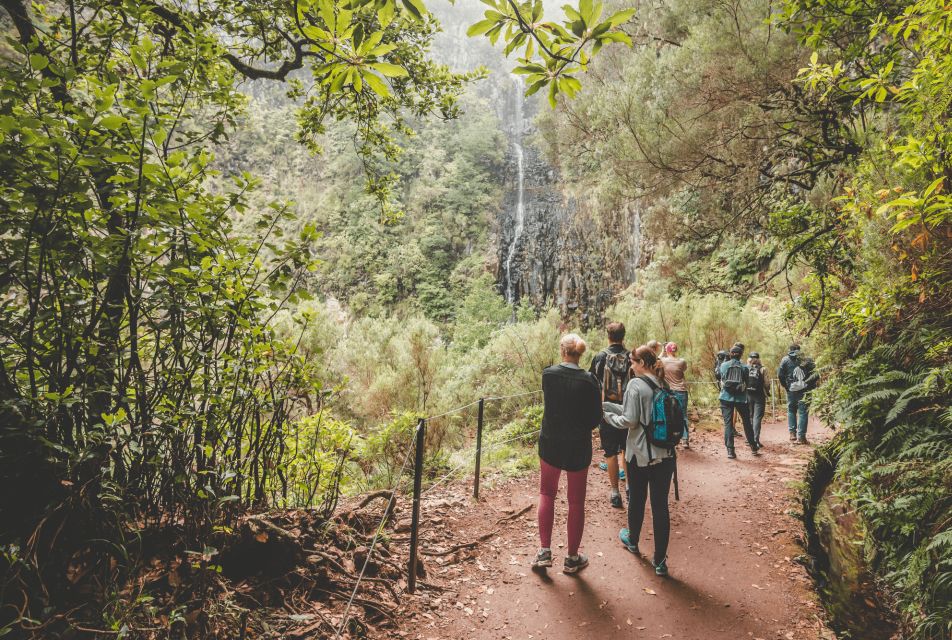 Madeira: Rabaçal Valley and the 25 Fountains Hike. - Experience Highlights