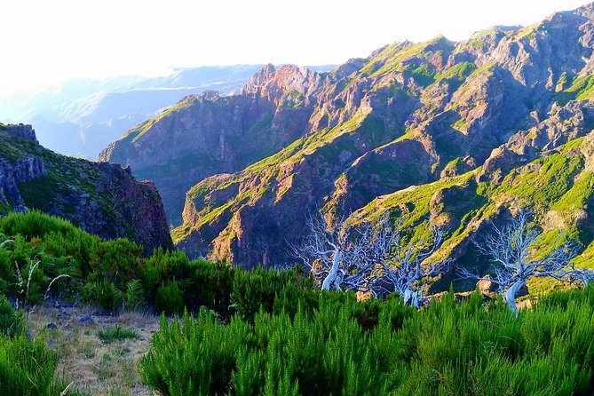 Madeira Top Sunrise - Exclusions