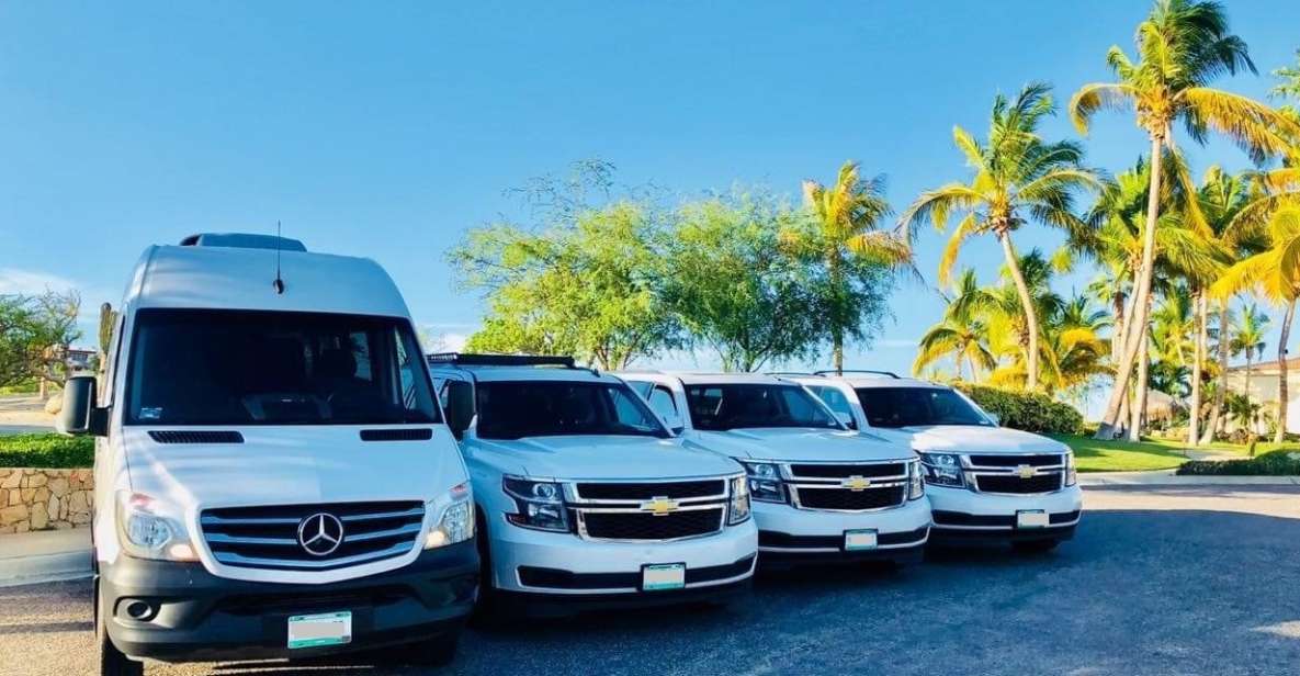 Mallorca Airport (PMI): Private Transfer to Palma Nova - Pickup and Drop-off