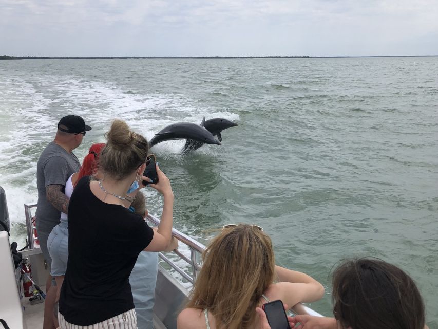 Marco Island: 1Ten Thousand Islands Dolphin & Shelling Tour - Wildlife Sightings