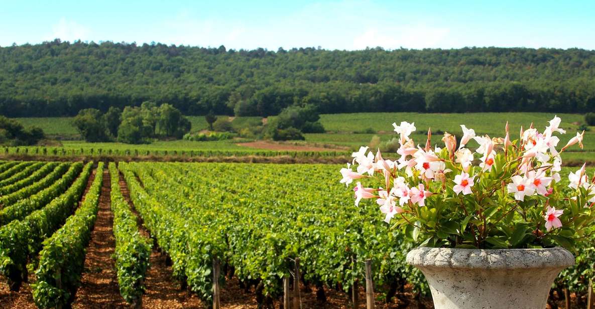 Marne: Champagne Region Private Day Tour With Lunch - 3-Course Lunch at Regional Restaurant