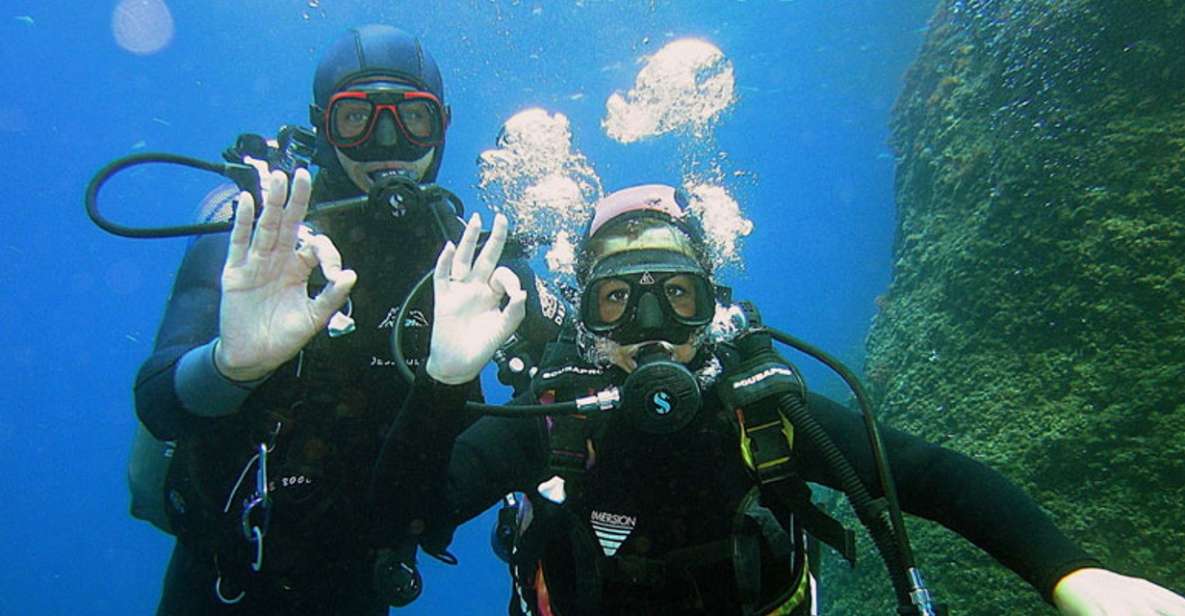 Marseille: Baptism of Diving on the Island of Frioul - Frioul Island Landscape